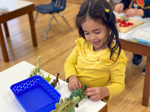 Montessori School at Washington Avenue