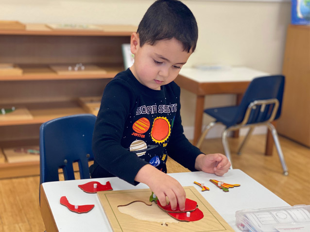Self-directed learing in the Montessori classroom