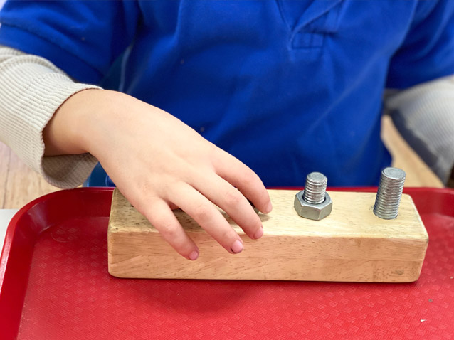 Two-year old motor development in the Montessori classroom